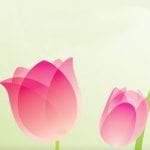 mothers day dental specials dtla los angeles